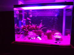 20140427_2.jpg