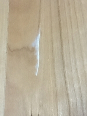 20161204_3.jpg