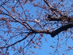 20170403_1.jpg