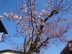 20170404_2.jpg
