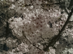 20170413_2.jpg