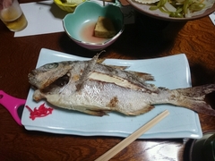 20170812_5.jpg