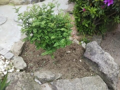 20180414_2.jpg