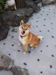 20180604_5.jpg