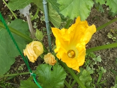 20180619_2.jpg