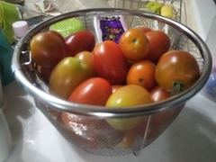 20180718a_2.jpg