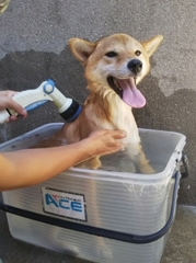 20180818_1.jpg