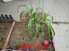 20191108_3.jpg