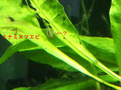 20200518_1.jpg