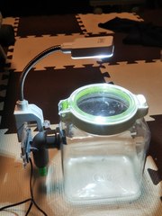 20200930_8.jpg
